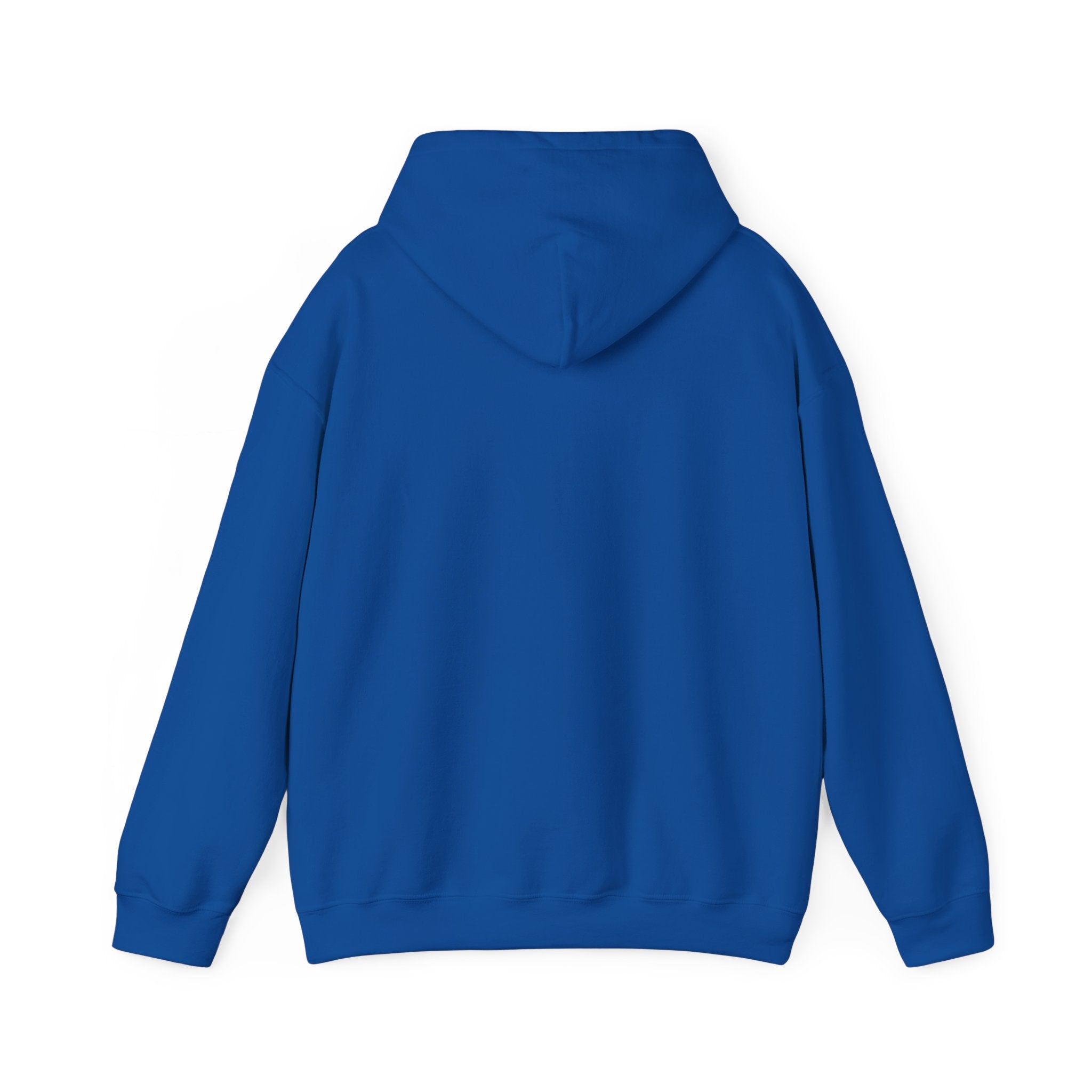 Team Hoodi Official Logo Hoodie - Athletic Apparel Winter Sports Gear