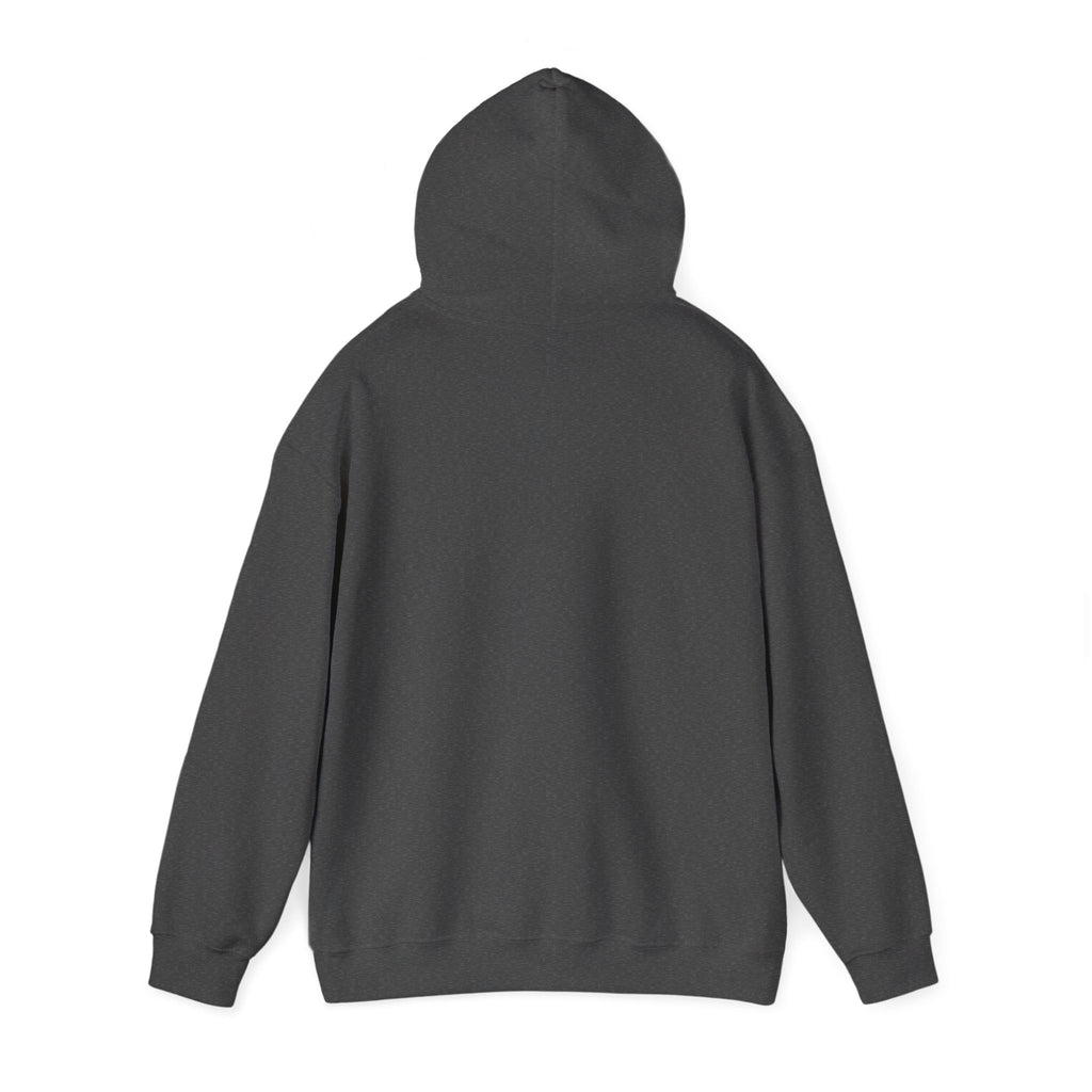 Team Hoodi Star Logo Hoodie - Athletic Apparel Winter Sports Gear