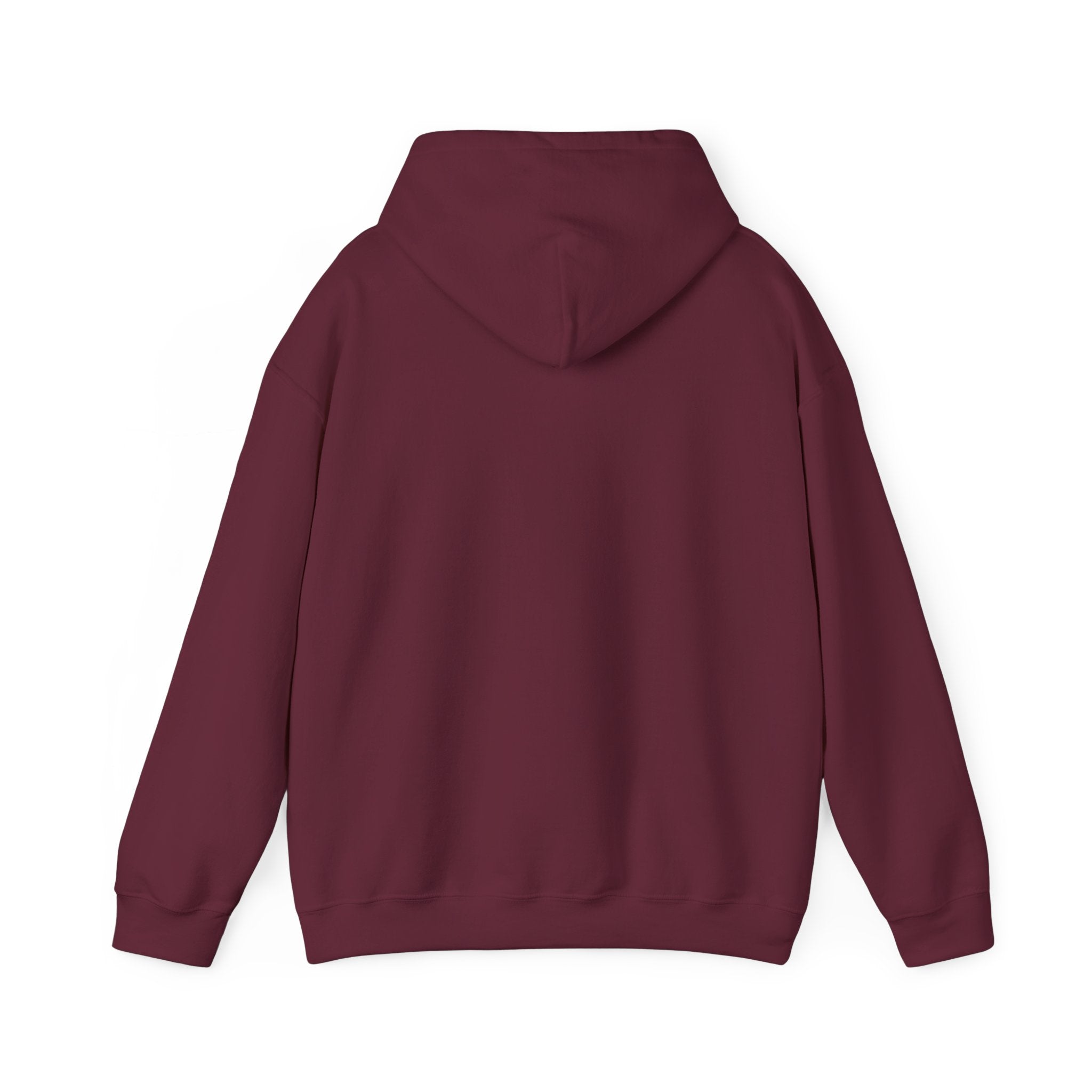 Team Hoodi Star Logo Hoodie - Athletic Apparel Winter Sports Gear